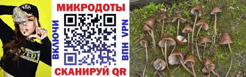 Псилоцибиновые грибы мицелий  Томск 