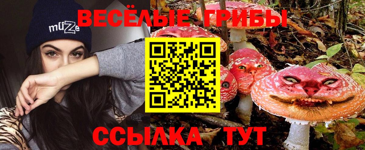 Томск  Галлюциногенные грибы мухоморы  Вход с VPN 